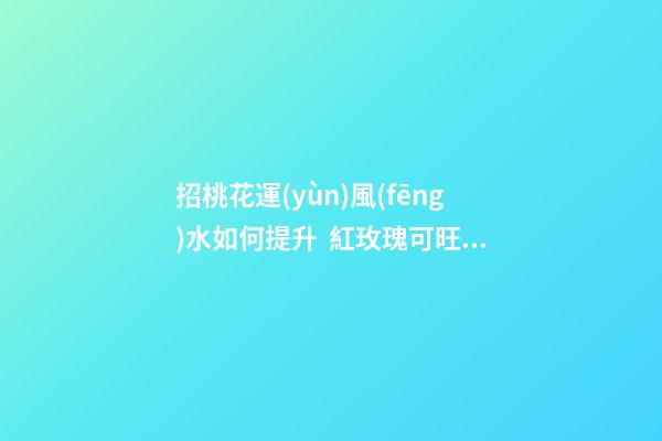 招桃花運(yùn)風(fēng)水如何提升  紅玫瑰可旺姻緣